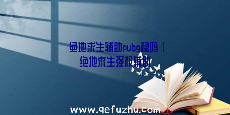 「绝地求生辅助pubg稳吗」|绝地求生强权辅助